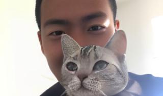 躺式采耳是什么意思 躺式采耳是什么意思