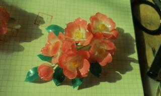 zzp什么意思 zzp什么意思