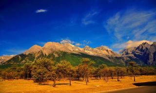 香格里拉香格里拉