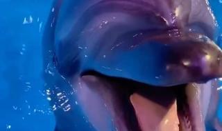 我的世界多人服务器